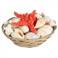 Mand met schelpen